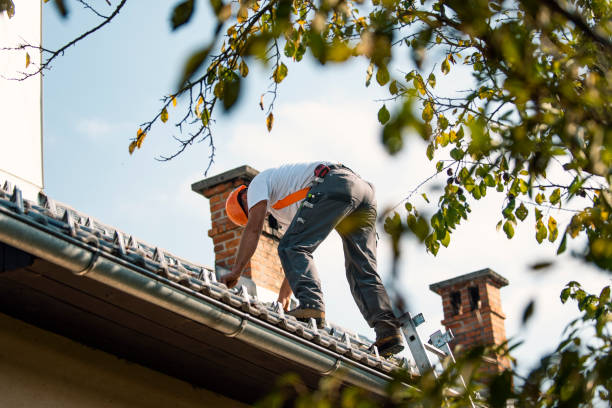 Roof Gutter Cleaning in Redington Beach, FL